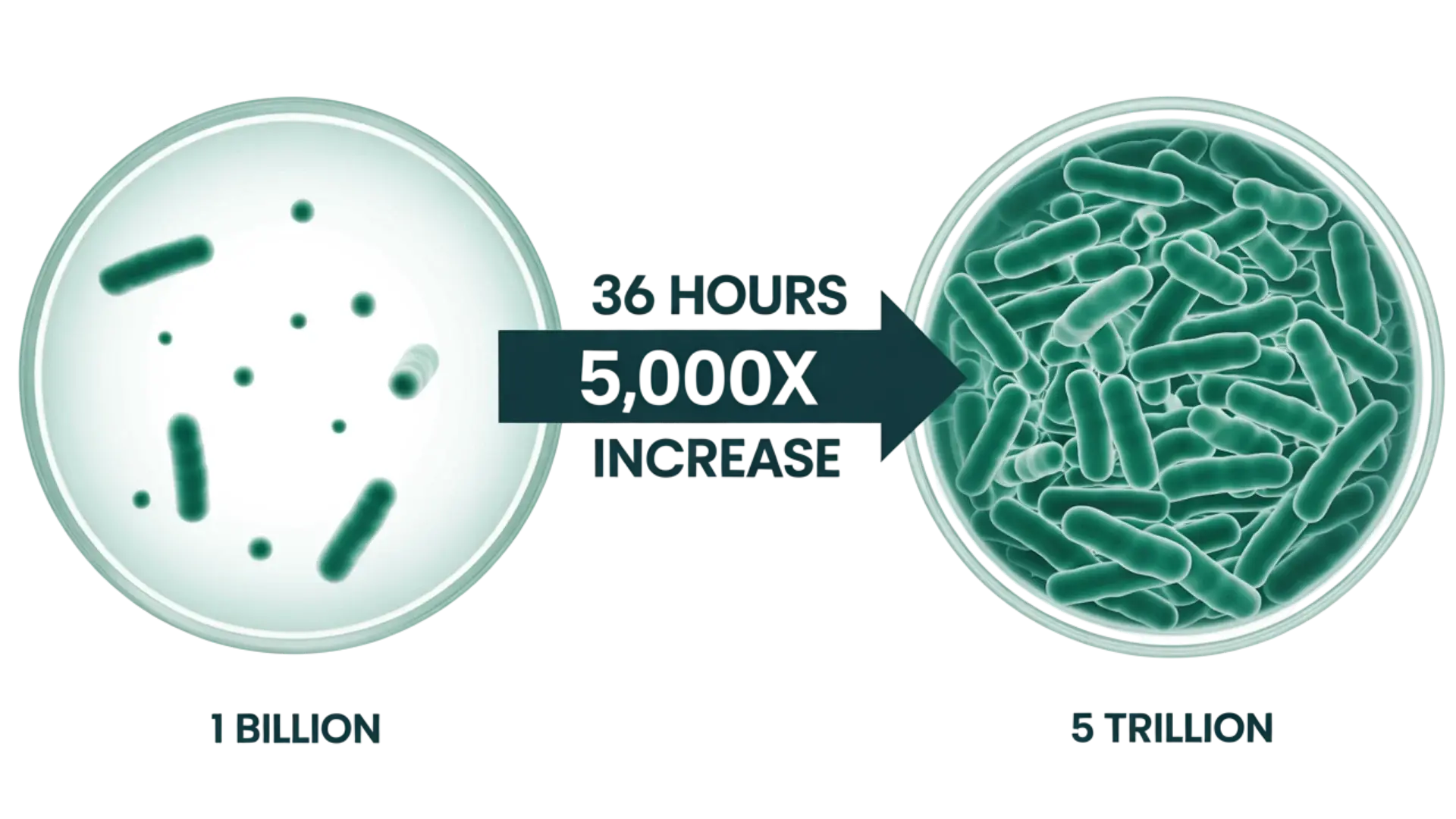 5 Trillion CFU Tri-Biotic Ecosystem