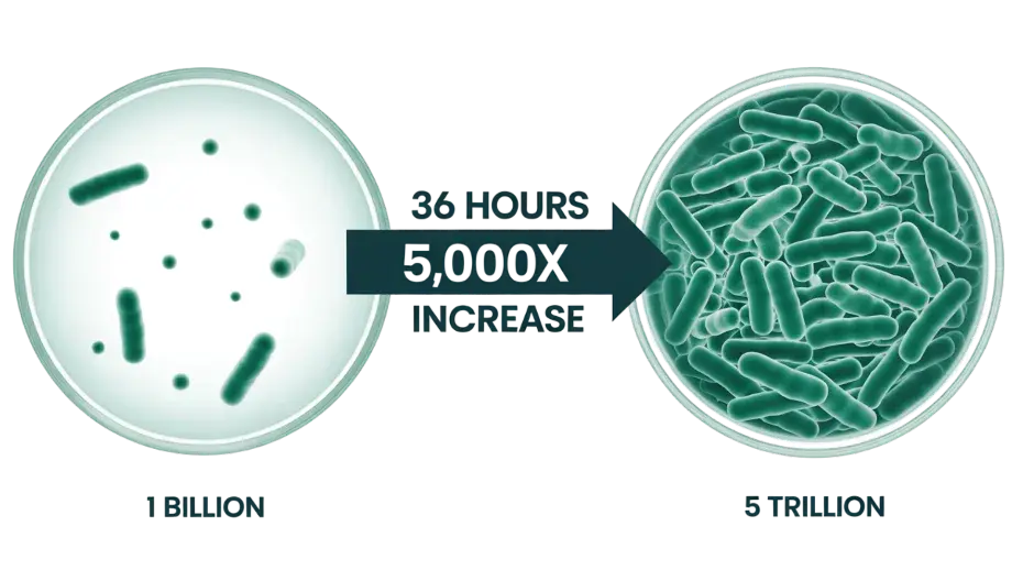 5 Trillion CFU Tri-Biotic Ecosystem